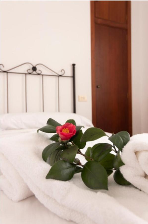 Hostal San Cristobal - Pontedeume Zewnętrze zdjęcie
