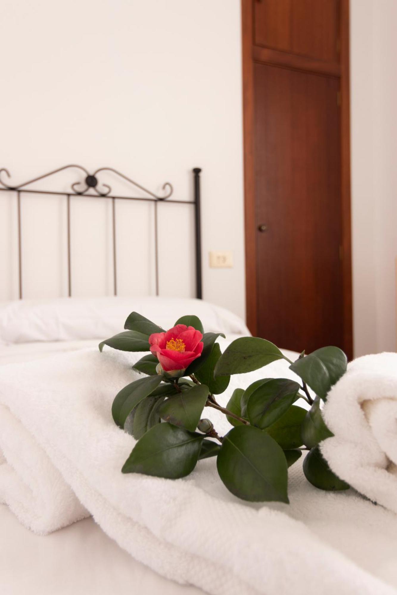 Hostal San Cristobal - Pontedeume Zewnętrze zdjęcie